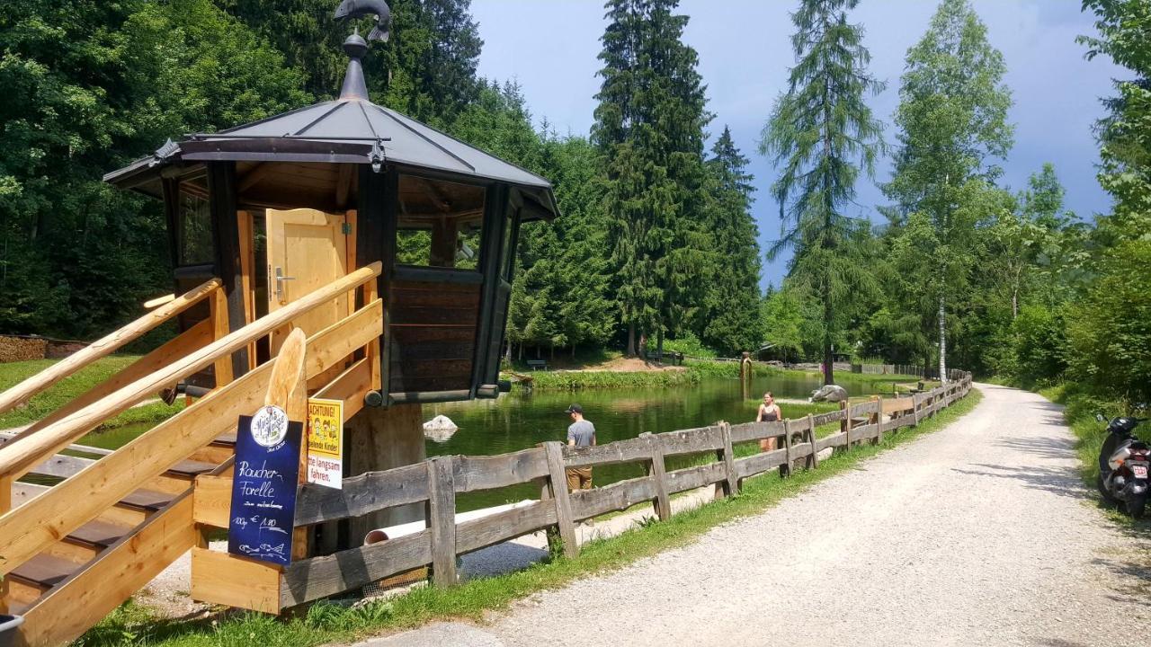 Schrandl Apartment Penningberg Hopfgarten im Brixental Εξωτερικό φωτογραφία