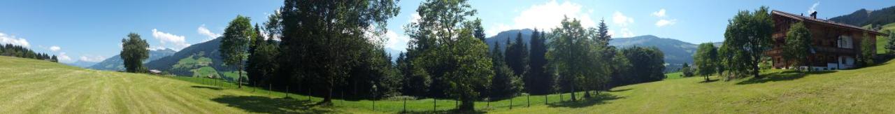 Schrandl Apartment Penningberg Hopfgarten im Brixental Εξωτερικό φωτογραφία