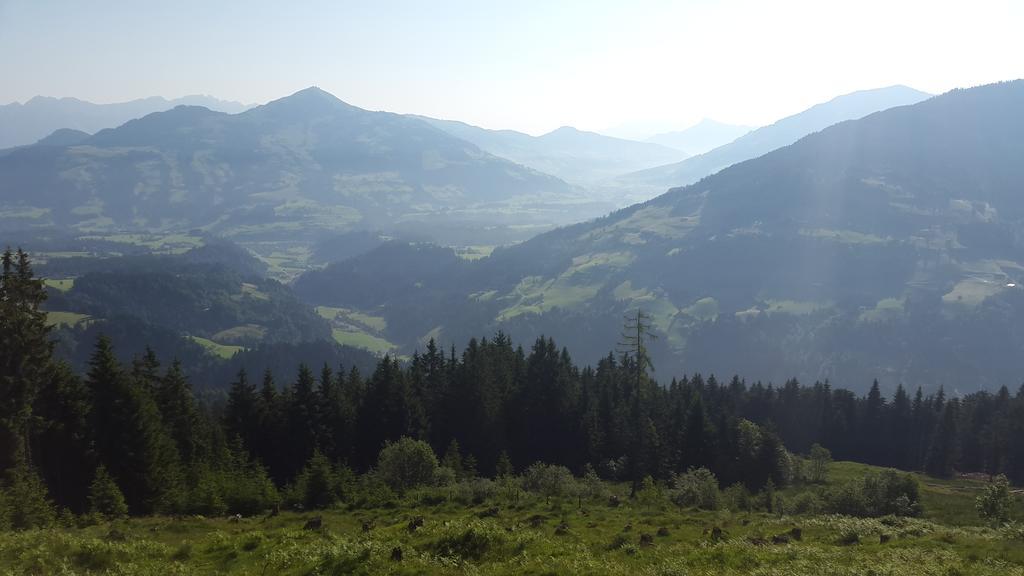 Schrandl Apartment Penningberg Hopfgarten im Brixental Δωμάτιο φωτογραφία