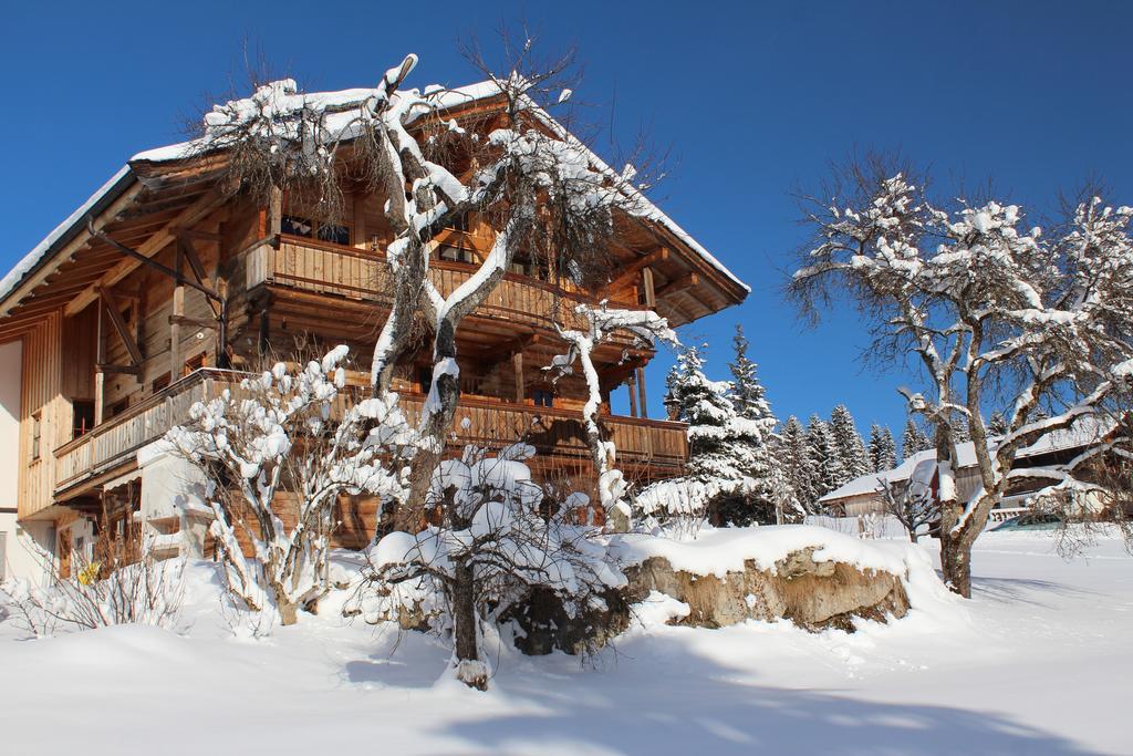 Schrandl Apartment Penningberg Hopfgarten im Brixental Εξωτερικό φωτογραφία