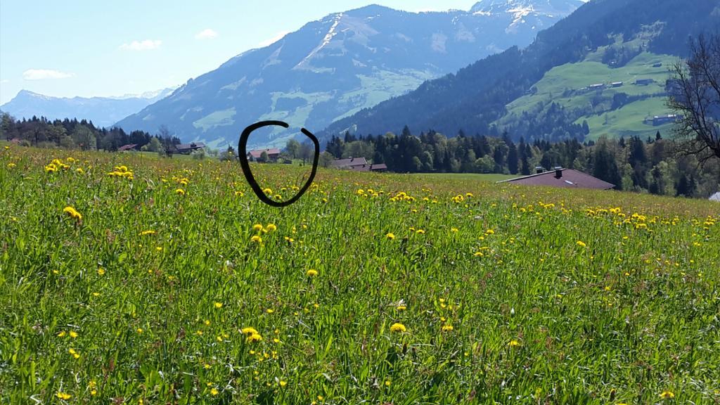 Schrandl Apartment Penningberg Hopfgarten im Brixental Εξωτερικό φωτογραφία