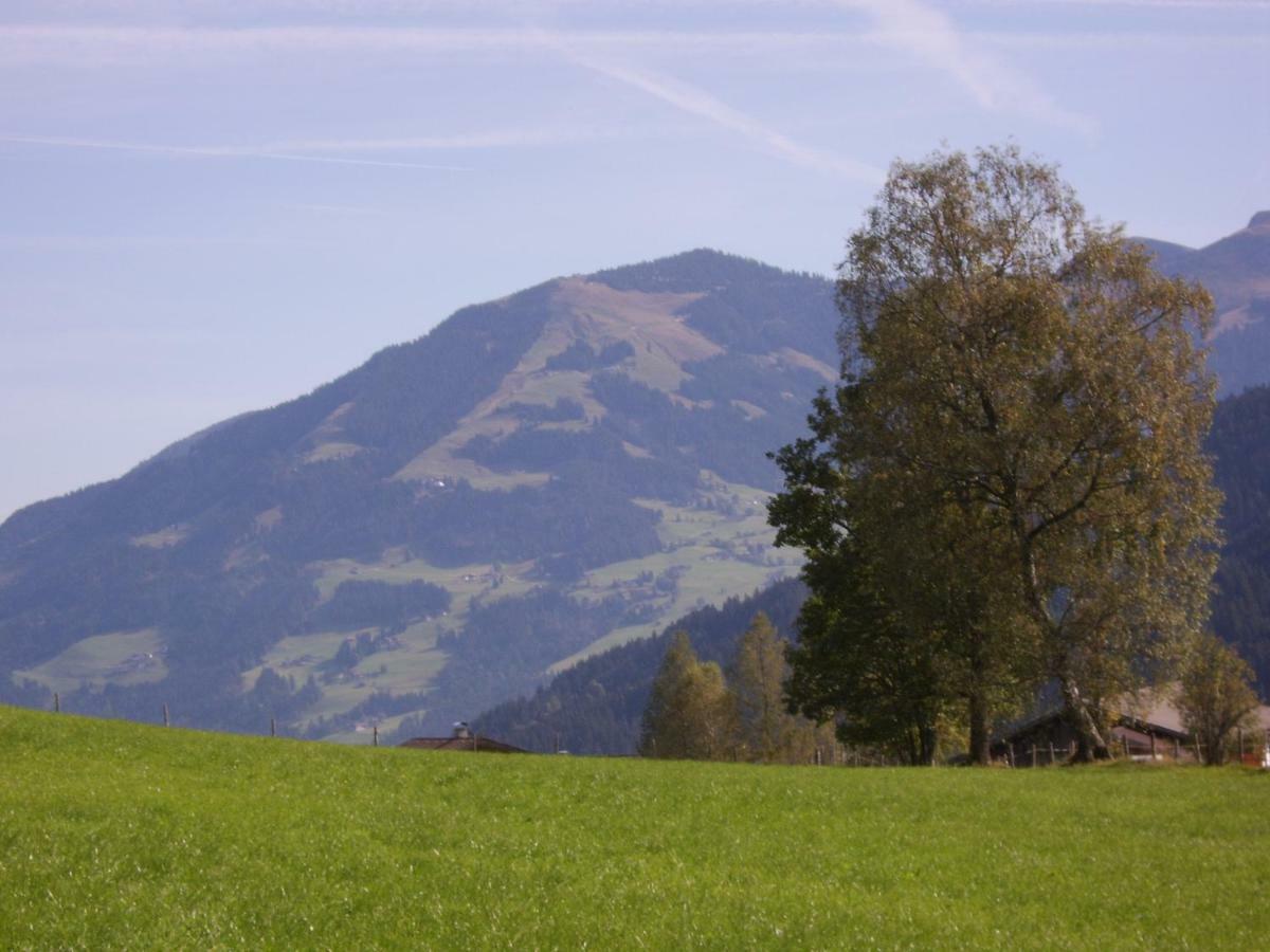 Schrandl Apartment Penningberg Hopfgarten im Brixental Εξωτερικό φωτογραφία
