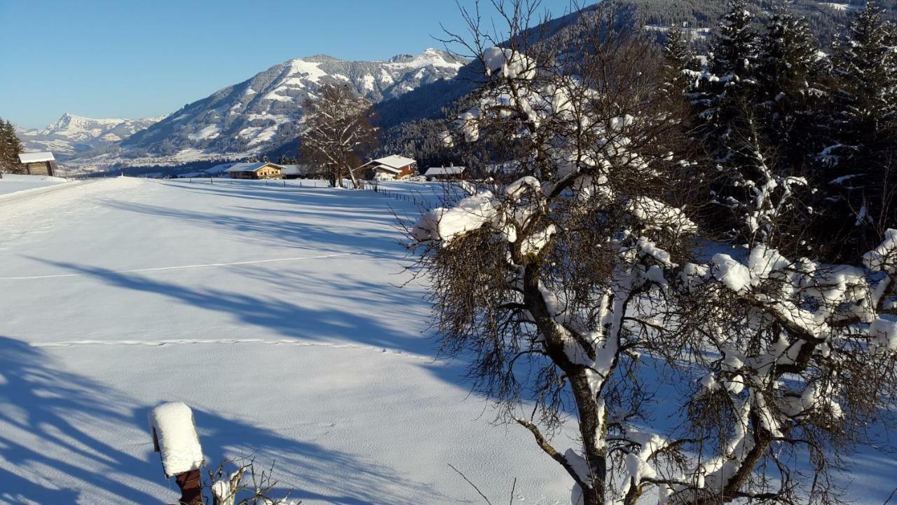 Schrandl Apartment Penningberg Hopfgarten im Brixental Εξωτερικό φωτογραφία